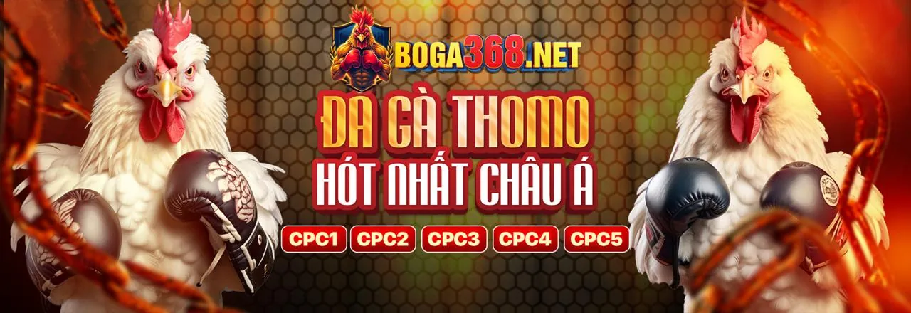 Sân vận động với ánh đèn rực rỡ và người hâm mộ cuồng nhiệt, thể hiện tinh thần cá cược thể thao đỉnh cao tại ban88